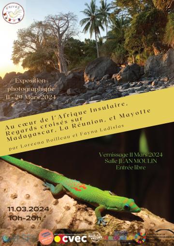 Regards croisés sur l’espace insulaire (Mayotte / Madagascar / La Réunion)